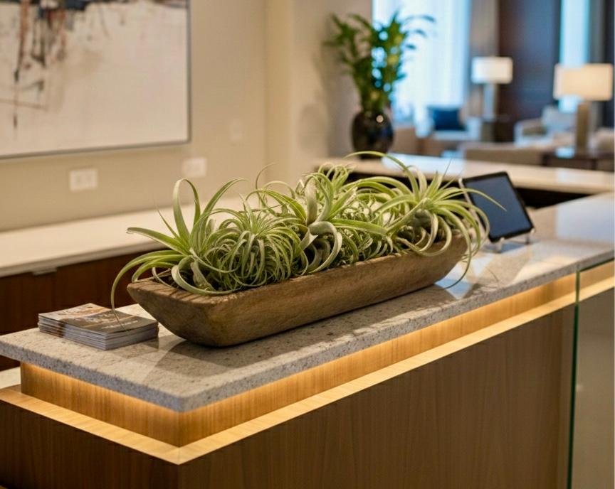 C21-25 Bateas de Madera Rústica Artesanal - Imagen 7